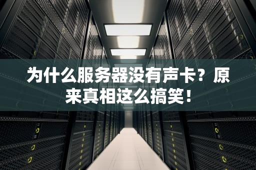 为什么服务器没有声卡？原来真相这么搞笑！