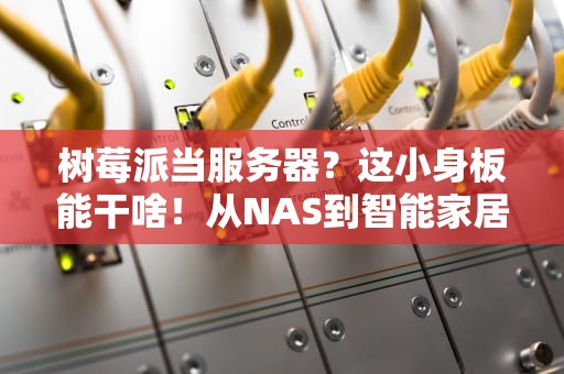 树莓派当服务器？这小身板能干啥！从NAS到智能家居全攻略