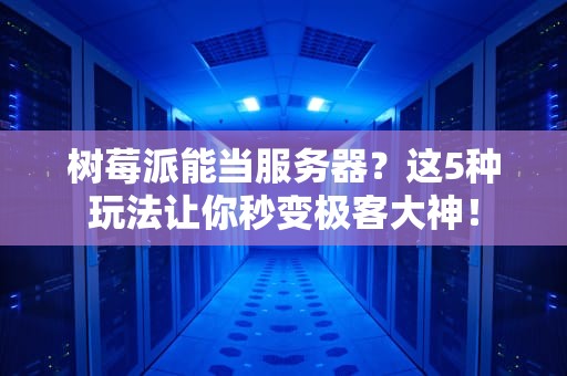 树莓派能当服务器？这5种玩法让你秒变极客大神！