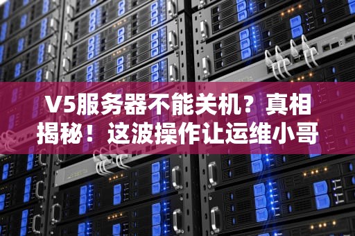 V5服务器不能关机？真相揭秘！这波操作让运维小哥直呼内行