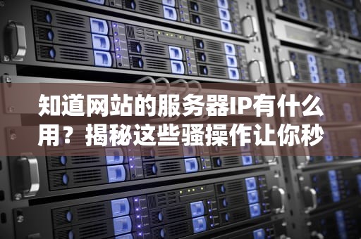 知道网站的服务器IP有什么用？揭秘这些骚操作让你秒变网络老司机！