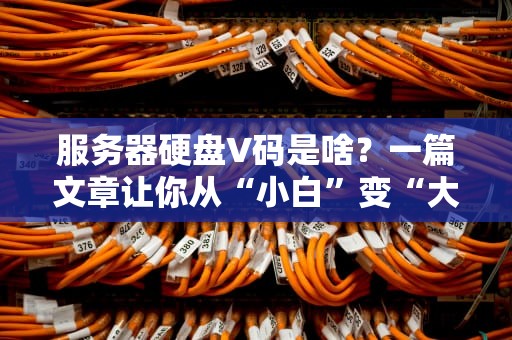 服务器硬盘V码是啥？一篇文章让你从“小白”变“大神”！