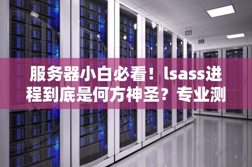 服务器小白必看！lsass进程到底是何方神圣？专业测评博主带你扒光它的底裤！