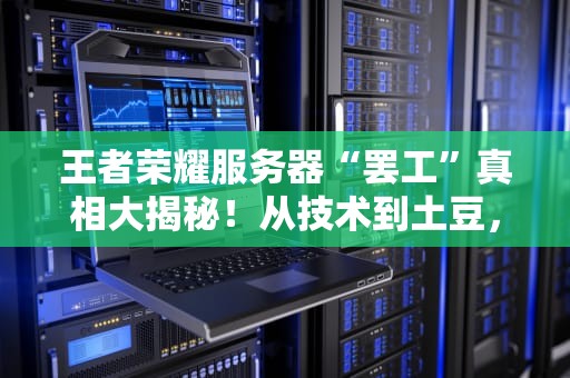 王者荣耀服务器“罢工”真相大揭秘！从技术到土豆，这次真不怪小学生