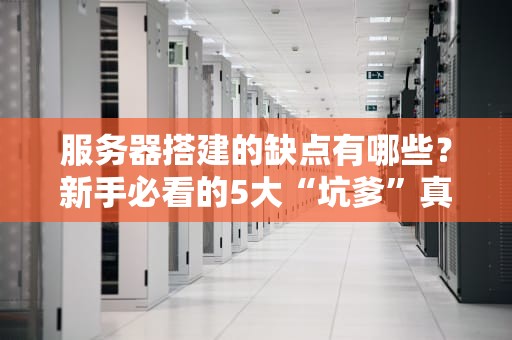 服务器搭建的缺点有哪些？新手必看的5大“坑爹”真相！