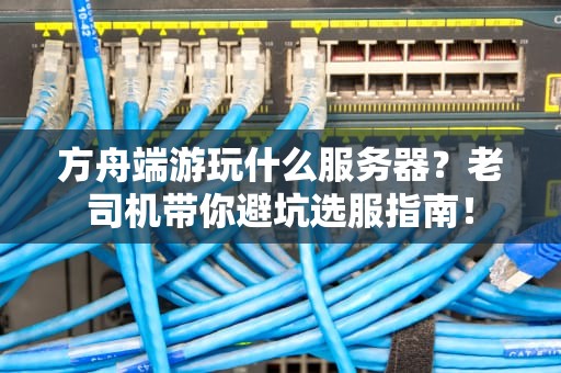 方舟端游玩什么服务器？老司机带你避坑选服指南！