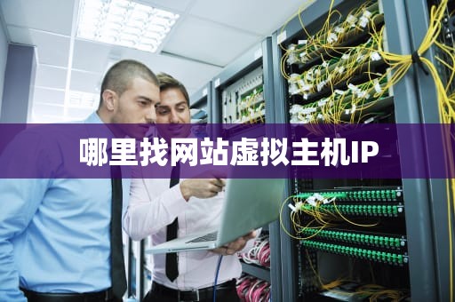 哪里找网站虚拟主机IP