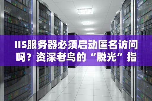 IIS服务器必须启动匿名访问吗？资深老鸟的“脱光”指南
