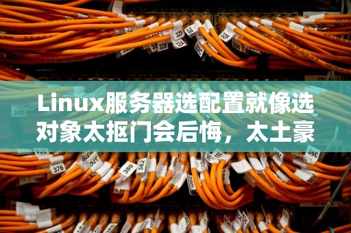 Linux服务器选配置就像选对象太抠门会后悔，太土豪又浪费！