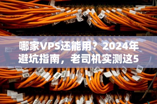 哪家VPS还能用？2024年避坑指南，老司机实测这5家稳如老狗！