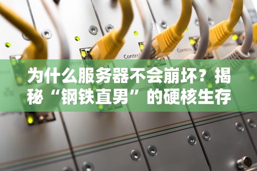 为什么服务器不会崩坏？揭秘“钢铁直男”的硬核生存法则！