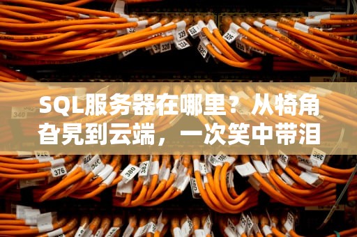 SQL服务器在哪里？从犄角旮旯到云端，一次笑中带泪的寻机之旅