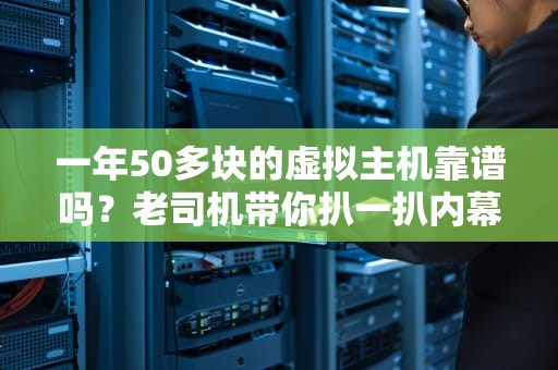 一年50多块的虚拟主机靠谱吗？老司机带你扒一扒内幕！