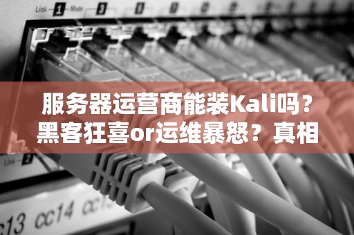 服务器运营商能装Kali吗？黑客狂喜or运维暴怒？真相来了！