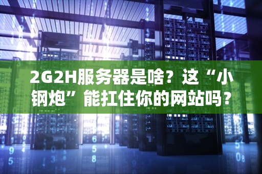 2G2H服务器是啥？这“小钢炮”能扛住你的网站吗？实测+避坑指南！