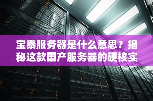 宝泰服务器是什么意思？揭秘这款国产服务器的硬核实力！