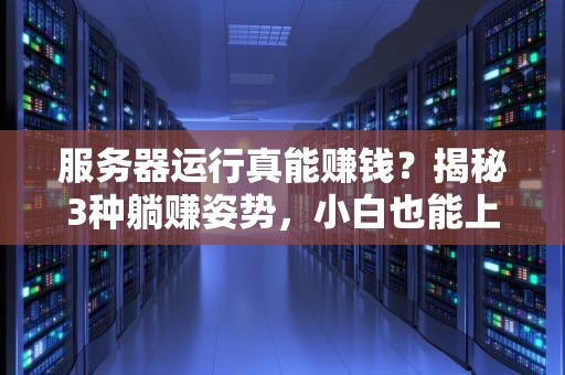 服务器运行真能赚钱？揭秘3种躺赚姿势，小白也能上手！