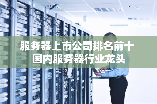 服务器上市公司排名前十 国内服务器行业龙头