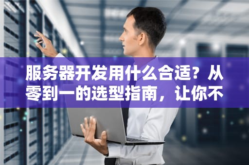 服务器开发用什么合适？从零到一的选型指南，让你不再“秃”然迷茫！
