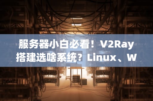 服务器小白必看！V2Ray搭建选啥系统？Linux、Windows还是群晖？