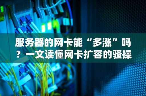 服务器的网卡能“多涨”吗？一文读懂网卡扩容的骚操作与硬核知识