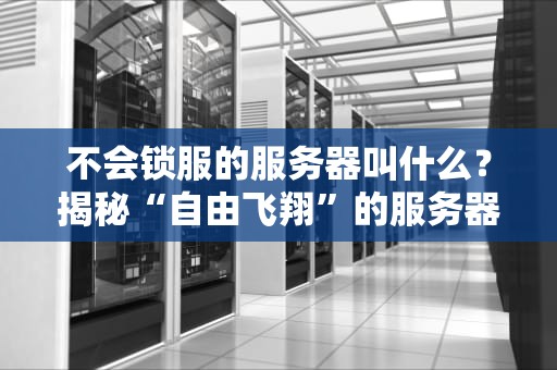 不会锁服的服务器叫什么？揭秘“自由飞翔”的服务器真相！