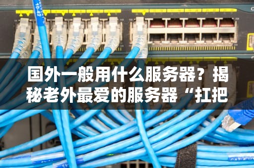 国外一般用什么服务器？揭秘老外最爱的服务器“扛把子”！