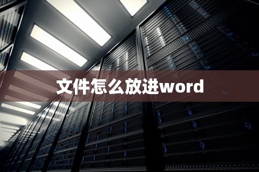 文件怎么放进word