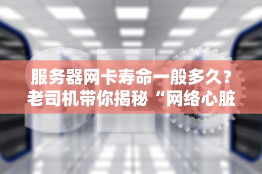 服务器网卡寿命一般多久？老司机带你揭秘“网络心脏”的耐久玄学！