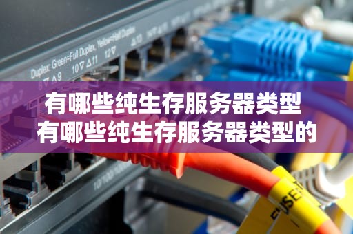 有哪些纯生存服务器类型 有哪些纯生存服务器类型的软件