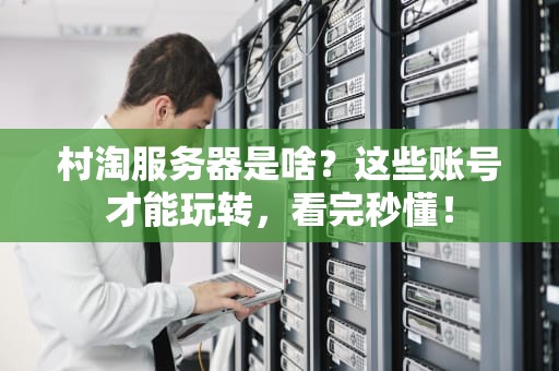 村淘服务器是啥？这些账号才能玩转，看完秒懂！
