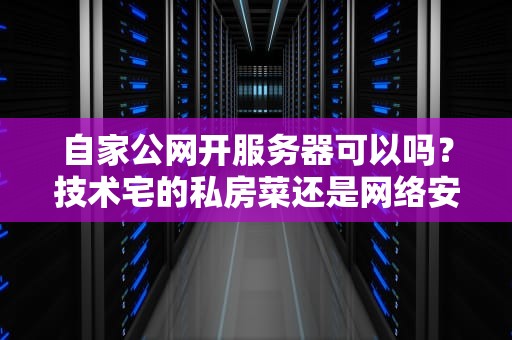 自家公网开服务器可以吗？技术宅的私房菜还是网络安全的定时炸弹？