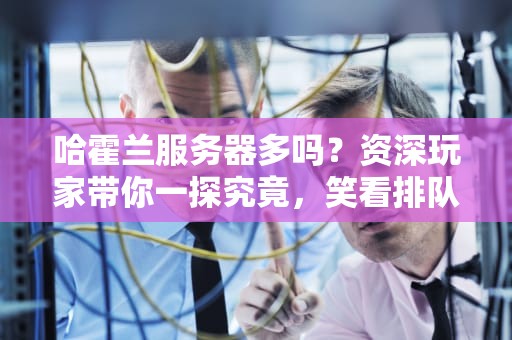 哈霍兰服务器多吗？资深玩家带你一探究竟，笑看排队风云！