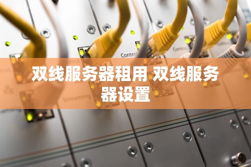 双线服务器租用 双线服务器设置