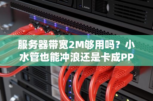服务器带宽2M够用吗？小水管也能冲浪还是卡成PPT？