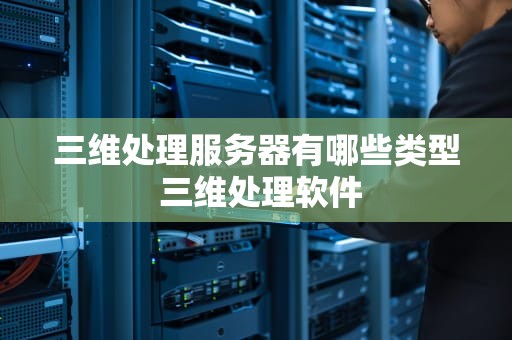 三维处理服务器有哪些类型 三维处理软件