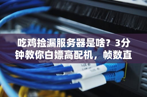 吃鸡捡漏服务器是啥？3分钟教你白嫖高配机，帧数直接起飞！