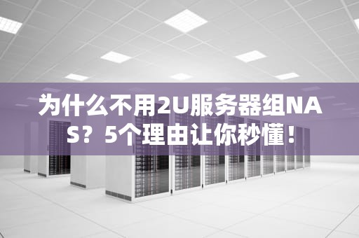 为什么不用2U服务器组NAS？5个理由让你秒懂！