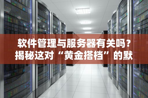 软件管理与服务器有关吗？揭秘这对“黄金搭档”的默契日常！