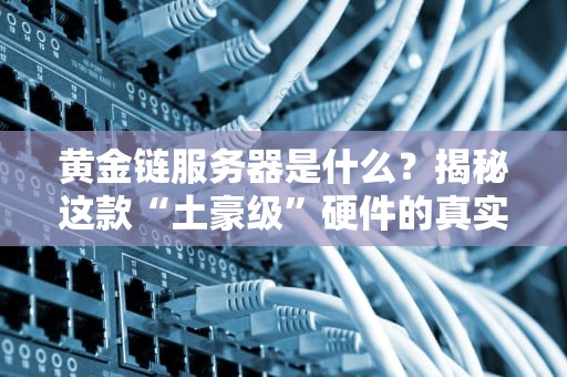 黄金链服务器是什么？揭秘这款“土豪级”硬件的真实实力！