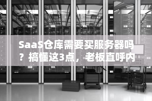 SaaS仓库需要买服务器吗？搞懂这3点，老板直呼内行！