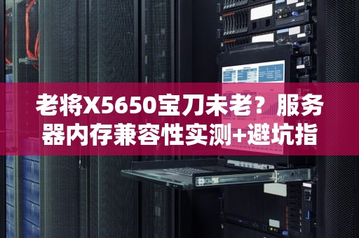 老将X5650宝刀未老？服务器内存兼容性实测+避坑指南！