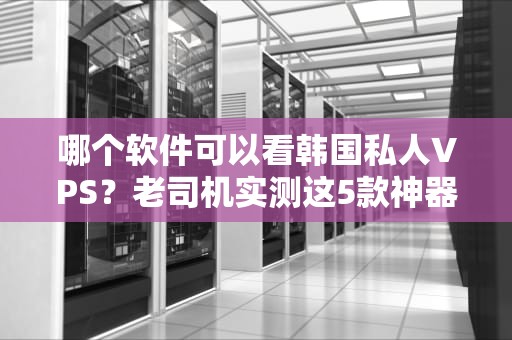 哪个软件可以看韩国私人VPS？老司机实测这5款神器，稳如老狗！