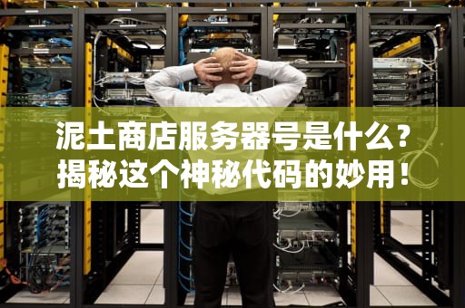 泥土商店服务器号是什么？揭秘这个神秘代码的妙用！
