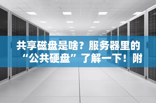 共享磁盘是啥？服务器里的“公共硬盘”了解一下！附超全避坑指南！