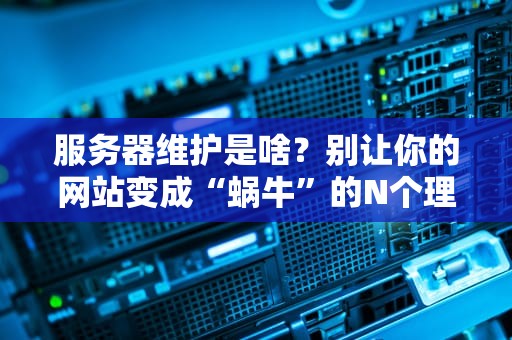 服务器维护是啥？别让你的网站变成“蜗牛”的N个理由！