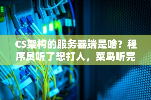 CS架构的服务器端是啥？程序员听了想打人，菜鸟听完直呼真香！