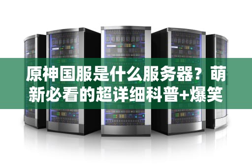 原神国服是什么服务器？萌新必看的超详细科普+爆笑比喻！