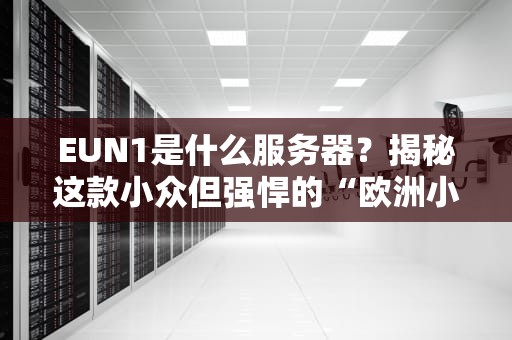 EUN1是什么服务器？揭秘这款小众但强悍的“欧洲小钢炮”