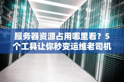 服务器资源占用哪里看？5个工具让你秒变运维老司机！